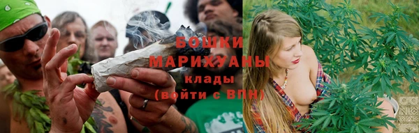 PSILOCYBIN Строитель