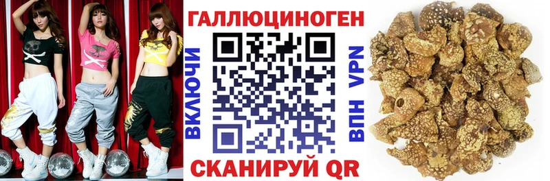 Галлюциногенные грибы прущие грибы  Вольск 