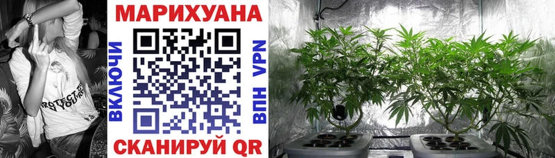 OMG tor  Вольск  Шишки марихуана Amnesia 